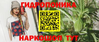 круглые Аргун